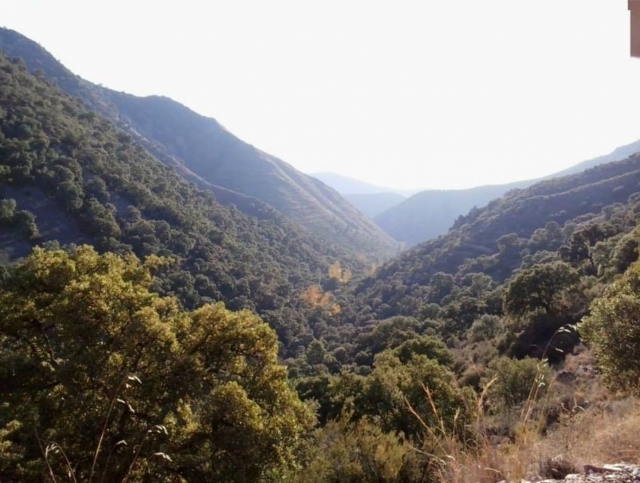  Vues sur la forêt de chênes-lièges de la Mosquera